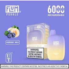 Flum Pebble Disposable 5%